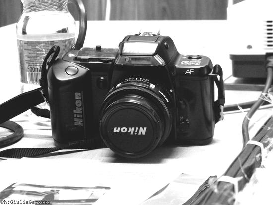  (305 clic)