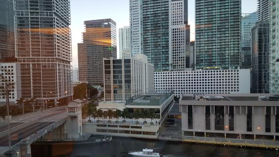 Miami city (354 clic)