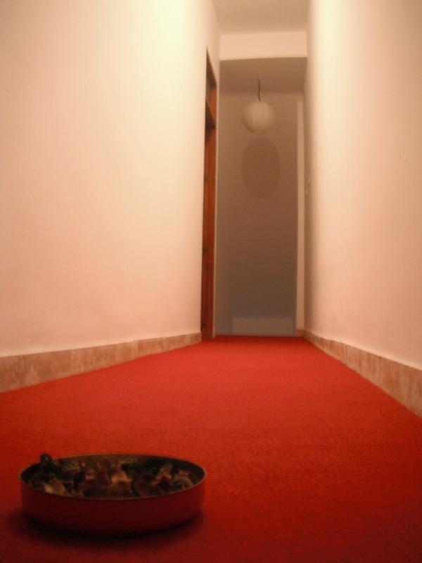 Corleone House CORLEONE