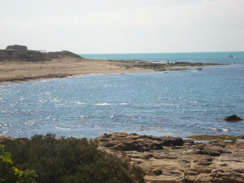  - PUNTA BRACCETTO - inserita il 