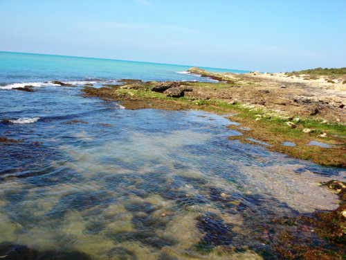  - PUNTA BRACCETTO - inserita il 