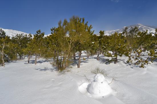  - ETNA - inserita il 03-Feb-14