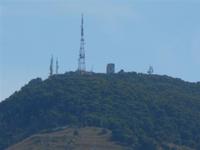 la cima del Monte Bonifato - 30 agosto 2011  - Alcamo (698 clic)