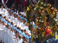 Signore dell'Olmo (646 clic)