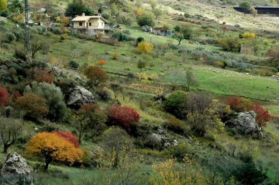 autunno - PETRALIA SOTTANA - inserita il 05-Apr-13