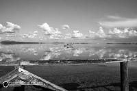 Saline Mozia Marsala  (904 clic)