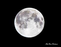 La grande luna.. (857 clic)