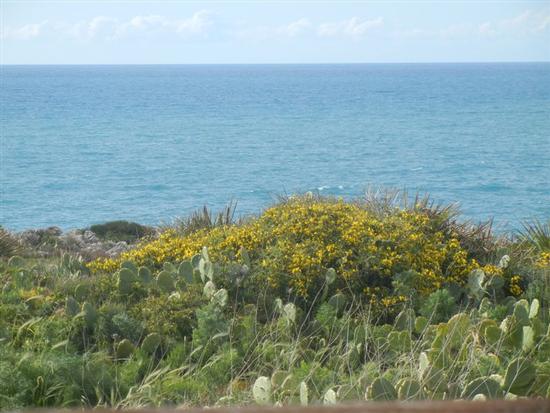 Riserva Naturale Orientata Capo Rama - TERRASINI - inserita il 07-Jul-14