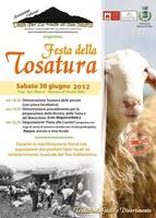 FESTA DELLA TOSATURA (612 clic)