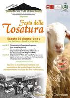 FESTA DELLA TOSATURA (543 clic)