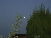  luna piena - 13 ottobre 2008   - Alcamo (912 clic)
