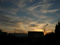  alba - 4 marzo 2008  - Alcamo (669 clic)