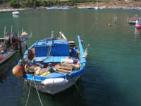  al porto: le barche dei pescatori - 2 ottobre 2007  - Castellammare del golfo (690 clic)