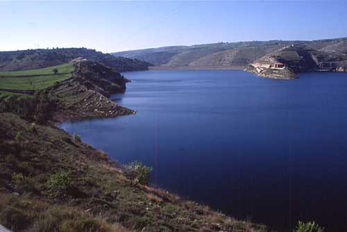  - RAGUSA - inserita il 